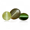 Cat's Eye (Lehsunia)